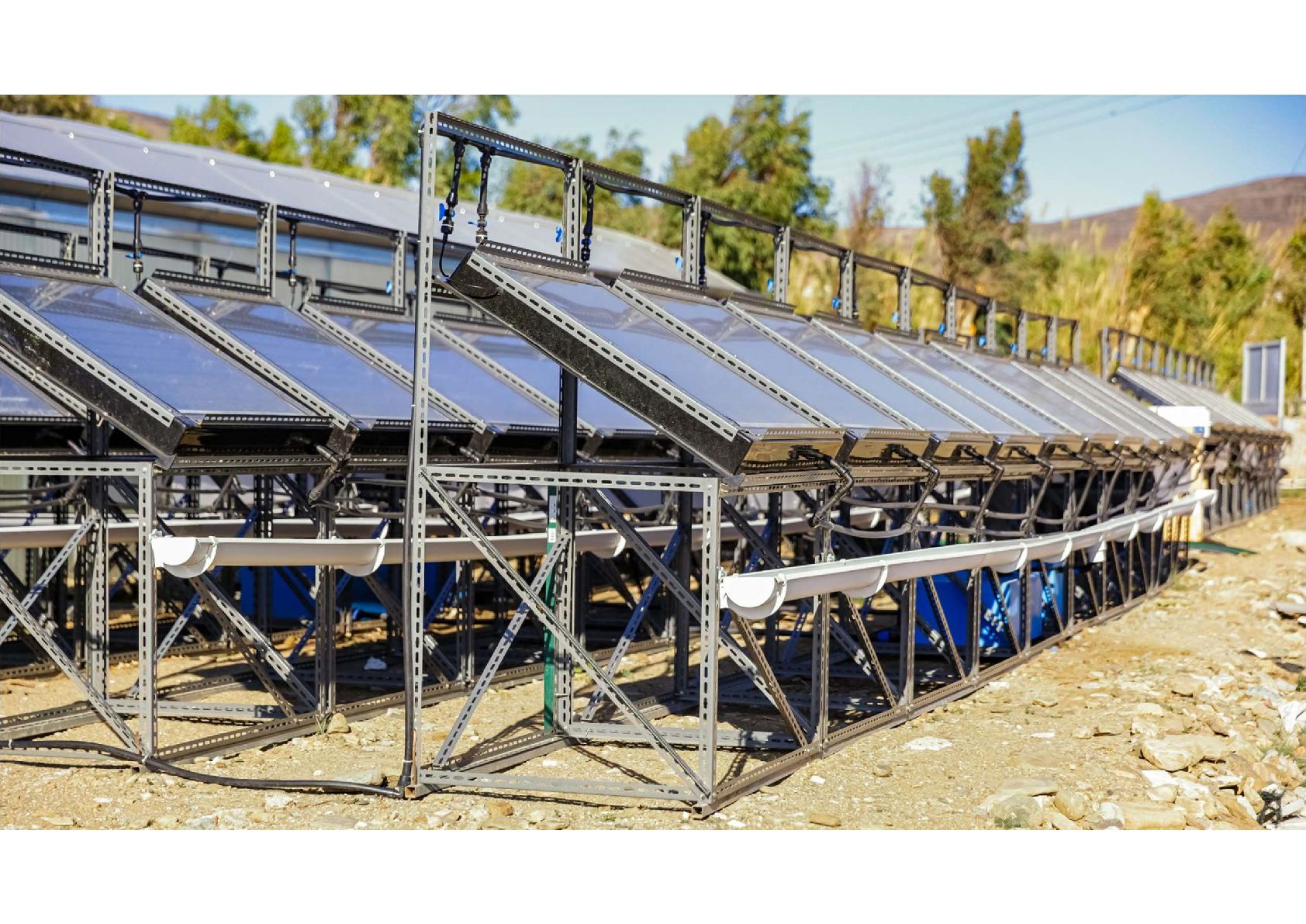 Real scale demosite in Tinos islands: 80 solar desalination units producing freshwater to water a tropical fruit and aloe greenhouse